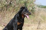 BEAUCERON 225